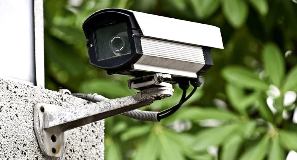 Monitoring 24/7 — Zielony Lewandów
