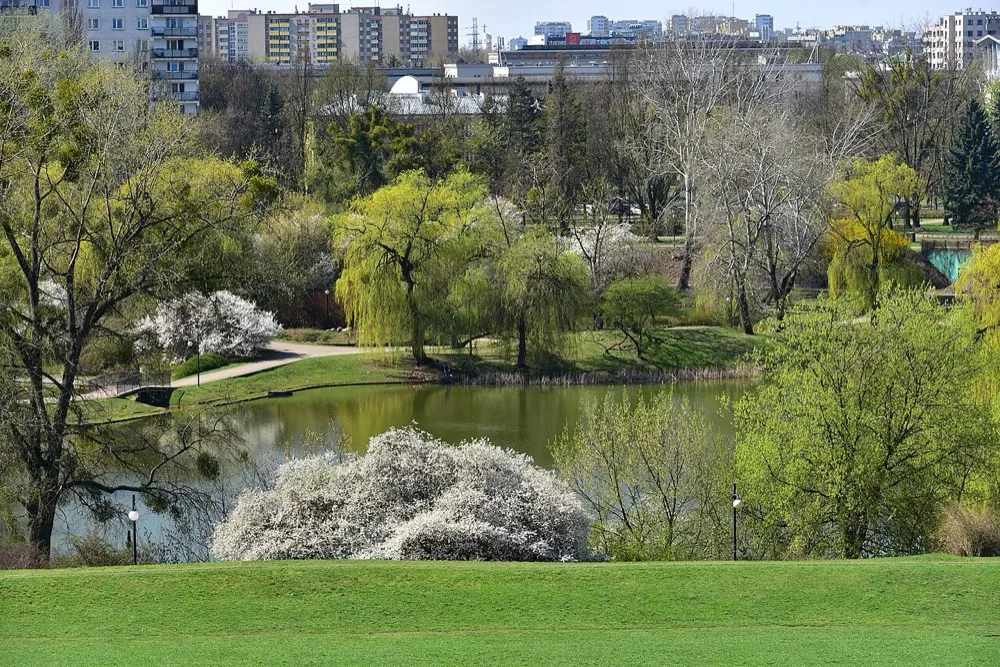 Park Moczydło